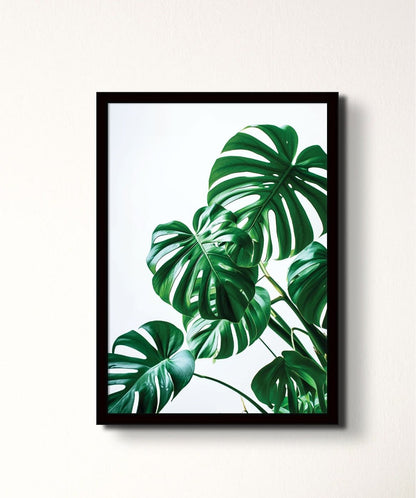 Tropical Whisper-4 - Words On Wall - - A4 - Black Frame - Tropical Whisper-4