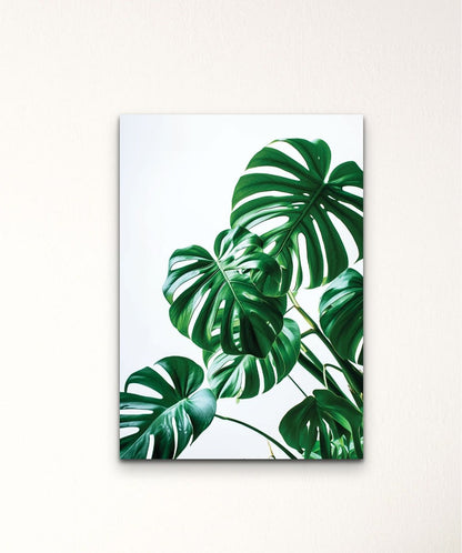 Tropical Whisper-4 - Words On Wall - - A4 - No Frame - Tropical Whisper-4